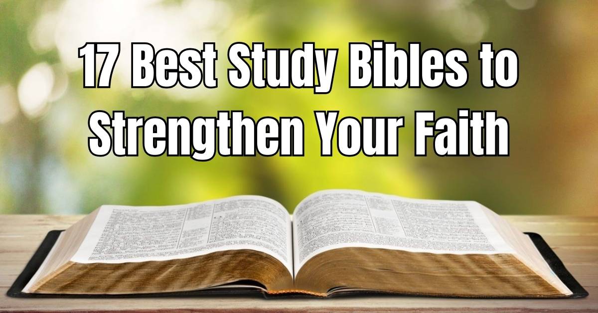 Best Study Bibles